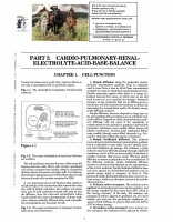 Clinical Physiology Made Ridiculously Simple.pdf